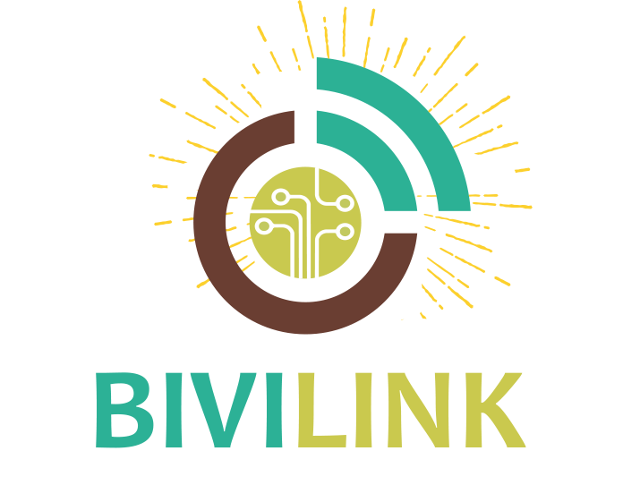 Bivilink